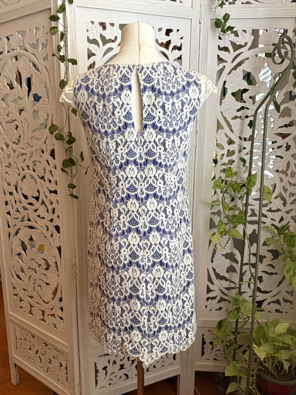 Shoshanna Dress Lace Overlay Sheath Dress - White & Blue - Picture 3 of 5
